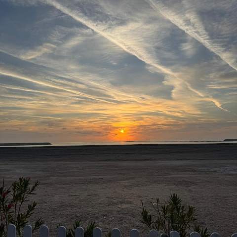Casa Blanca - Poza 016
